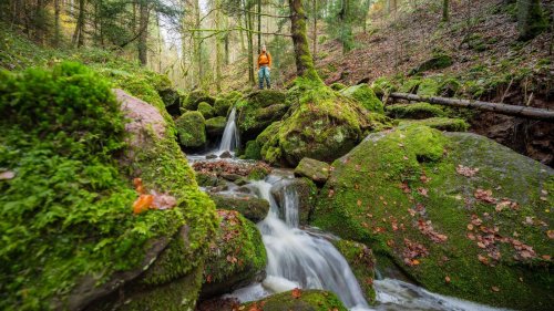 In Bildern: Die schönsten Schluchten im Schwarzwald