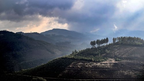 Das Sauerland – bald wohl Kanzlerheimat