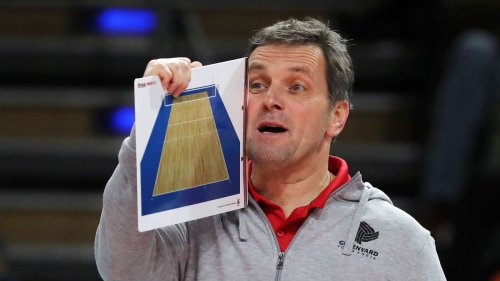Baden Volleys angeln sich holländischen Olympiasieger