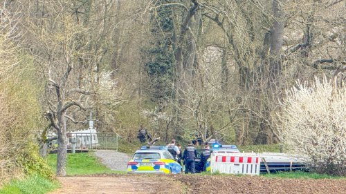 Verfolgungsjagd von Mannheim nach Karlsruhe endet im Wald