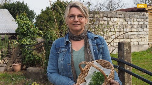 Tag des Unkrauts: Diese fünf Pflanzen sind nützlicher als ihr Ruf