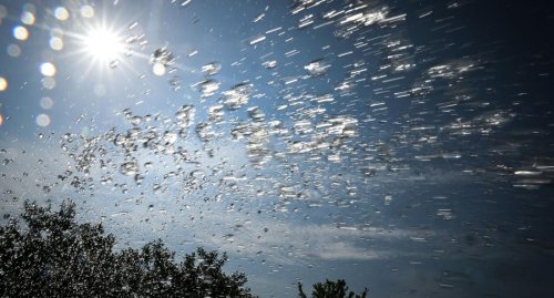 Prognose: Weiter bis zu 28 Grad in Baden-Württemberg