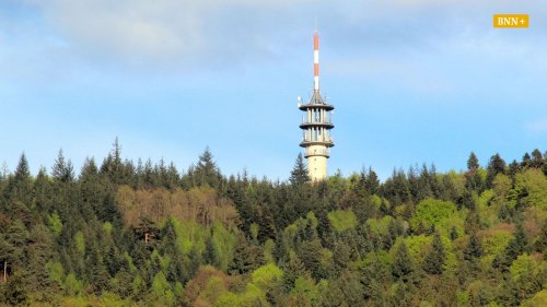 Warum sich am Sinzheimer Fremersberg keine Windräder drehen werden