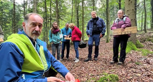 Unterwegs im Dobler Wald: Bei welchen Pilzen Vorsicht geboten ist