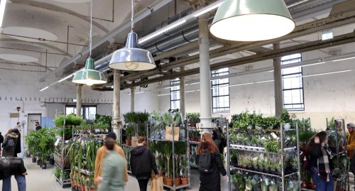 Lohnt sich ein Besuch beim Karlsruher Pflanzenmarkt?