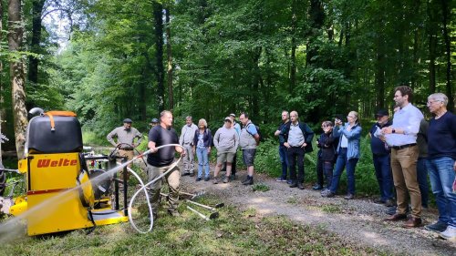 Waldbrandprävention gewinnt in Ettlingen an Bedeutung