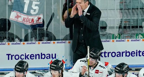 Haie-Coach Krupp kämpferisch nach Nackenschlag in Mannheim
