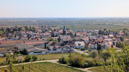 Trump landet bald in der Pfalz – besucht er das Dorf seines Großvaters?