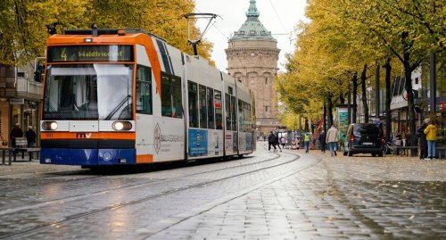 Unbekannte werfen in Mannheim einen Tannenbaum auf Straßenbahn