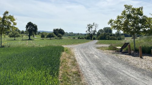 Zur Feier der Eingemeindung: Weinwanderung in Bretten-Gölshausen