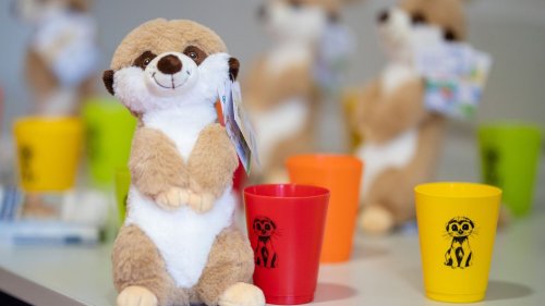 Gefängnis-Maskottchen Toni ist begehrt