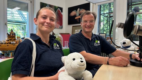 Tierpflegerin im Zoo Karlsruhe schildert im Podcast Alltag mit Eisbär Mika