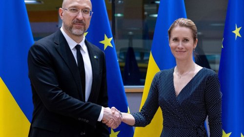 Dutzende EU-Außenminister und Diplomaten besuchen Ukraine