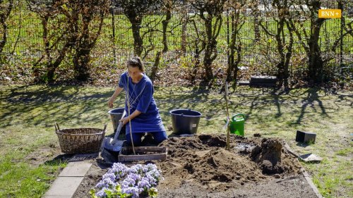 Nach Reerdigung: Weingartens ehemaliger Förster findet letzte Ruhe