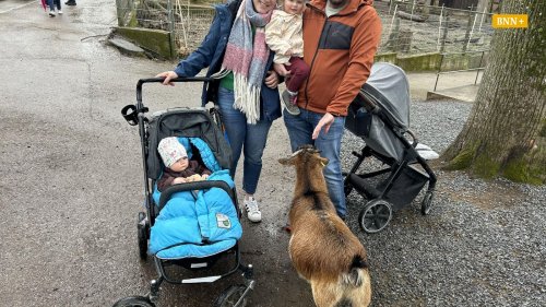 Besucher geben Tipps: So geht beim Besuch des Tierparks nichts schief