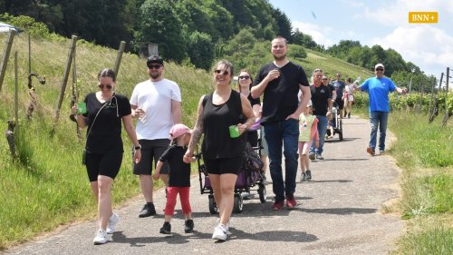 Weinwandertag bringt Bewegung in Weinberge von Neuweier