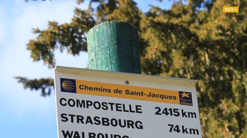 Vogesenclub pflegt 20.000 Kilometer Wanderwege im Elsass