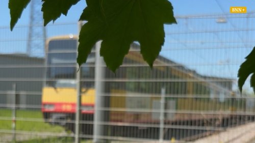 So aufwendig ist die Graffiti-Reinigung einer Stadtbahn
