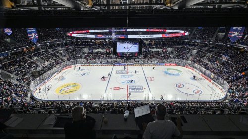 Nächster Anlauf: Adler holen Eishockey-Profi Mattinen