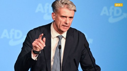 AfD-Gutachten: Sind diese Politiker aus Baden Verfassungsfeinde?