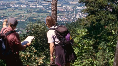 Wandertipps: BNN stellt 40 Touren in einem Buch vor