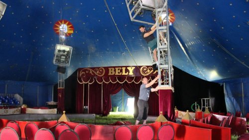 Zirkus gastiert in Karlsruhe: Von Mensch, Tier und dem Überlebenskampf