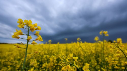 Meteorologen warnen nach warmen Tagen vor Unwetter