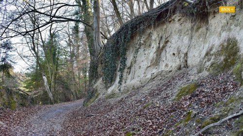 Rundwanderung bei Bruchsal-Untergrombach führt durch vielfältige Natur