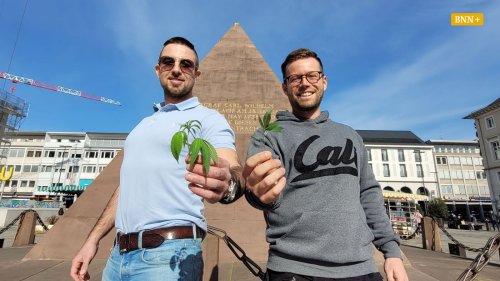 Cannabis-Plantage im Raum Bruchsal geplant – das erwartet Anwohner