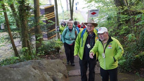 Westweg-Jubiläum: Schwarzwaldverein startet Wanderreihe in Pforzheim