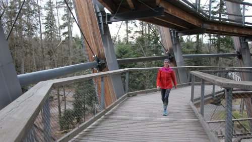 Tanja Höschele knackt den Rekord am Baumwipfelpfad in Bad Wildbad