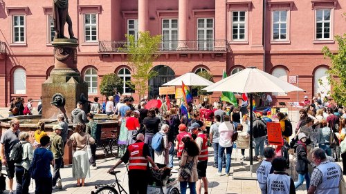 Fridays-for-Future-Demo in Karlsruhe: Teilnehmer fordern AfD-Verbot