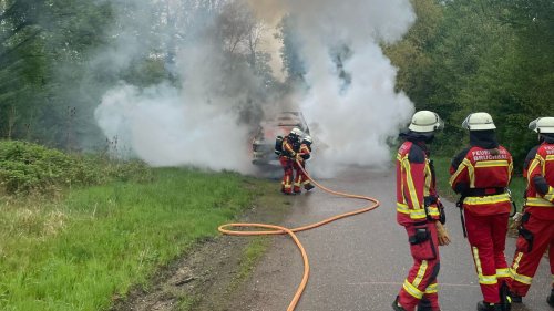 Bruchsaler Feuerwehr gefragt: Nicht nur bei der Owk-Hütte hat es gebrannt