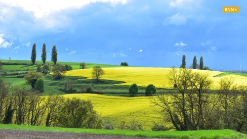 Rundwanderung bei Weingarten führt über sonnige Kraichgau-Hügel