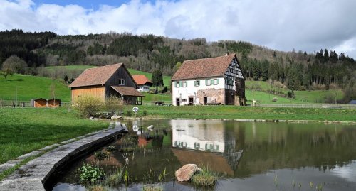 Freilichtmuseum Vogtsbauernhof in Gutach: Saisonstart ist verregnet