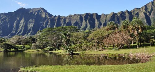 how-to-understand-and-speak-hawaiian-pidgin-flipboard