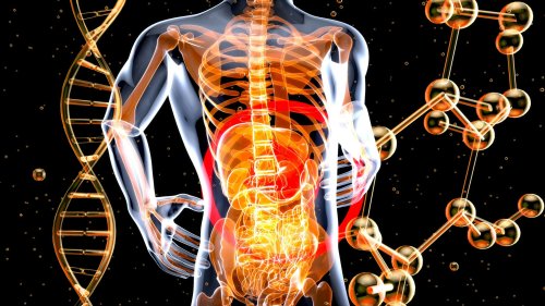 The Rise of Team-Based Healthcare in Chiropractic Medicine