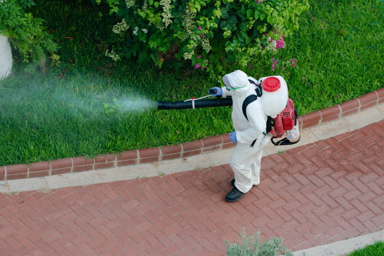 How Much Does an Exterminator Cost? Pest Control Costs Broken Down