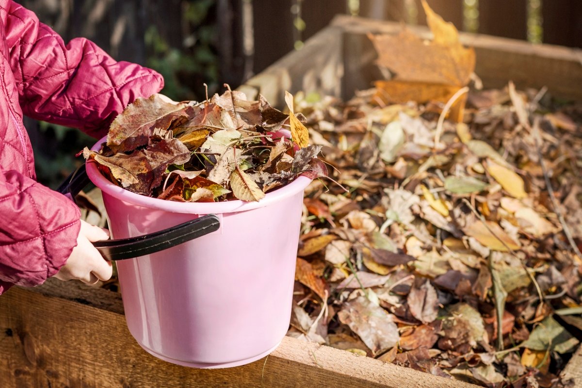 19 Fall Gardening Practices That Will Protect and Enrich Your Soil in Winter