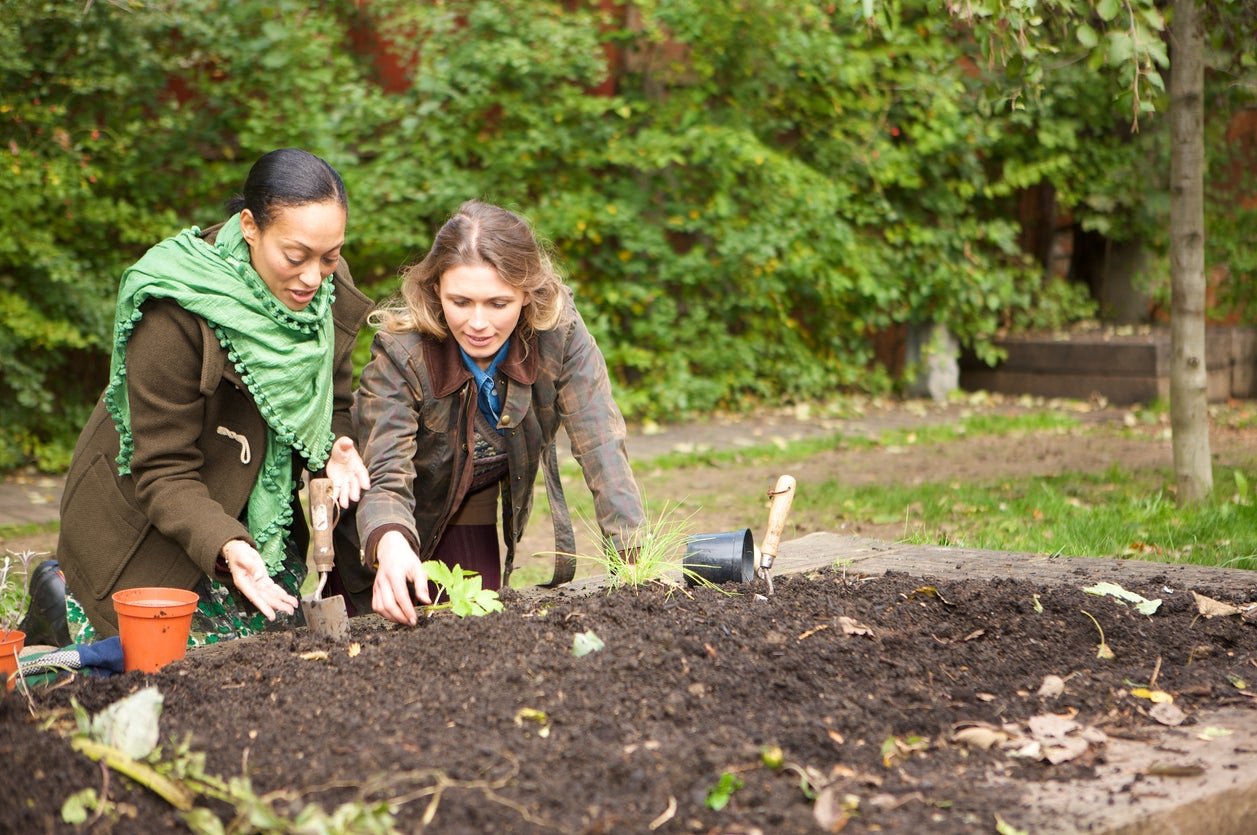 How Soil Amendments Can Improve Your Garden