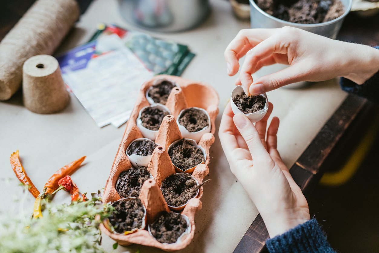 How to Save Seeds