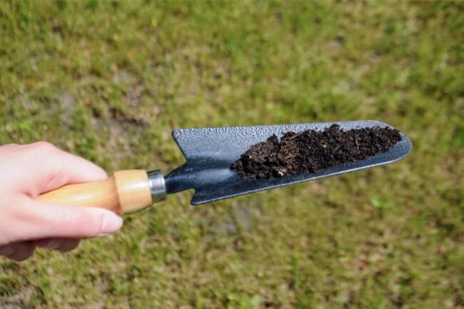 Don’t Skip This Step Before Fertilizing Your Lawn