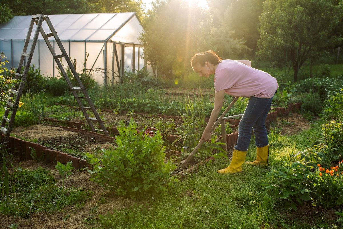 Now Is the Time to Add This Hard-Working Soil Amendment to Your Vegetable Garden