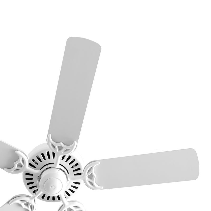 Video: Your Ceiling Fan Can Keep You Warm This Winter