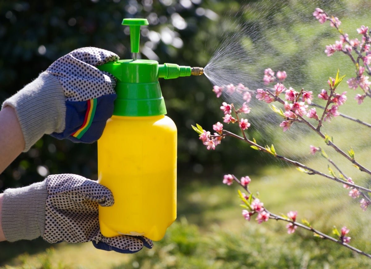 15 Natural Pest-Control Strategies for Your Home Landscape