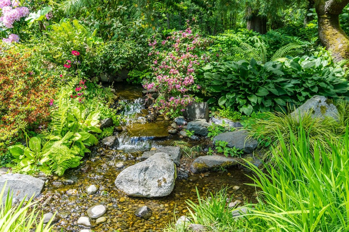 The Best Native Plants to Grow in Soggy Gardens (by Region)