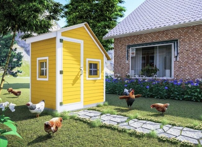11 Chicken Coop Plans Perfect for Big or Small Homesteads