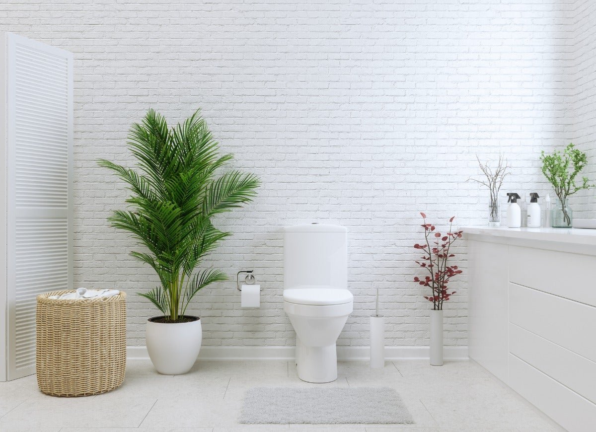 The 12 Best Plants for Bathroom Decor
