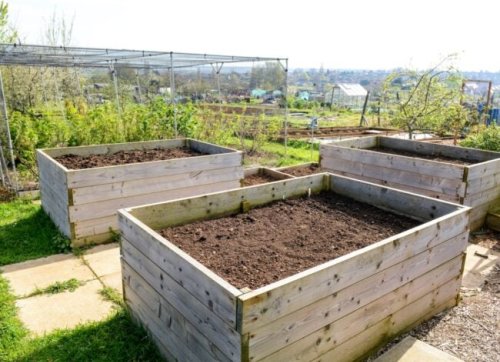 12 Raised Garden Bed Plans for Building Your Ideal Plot