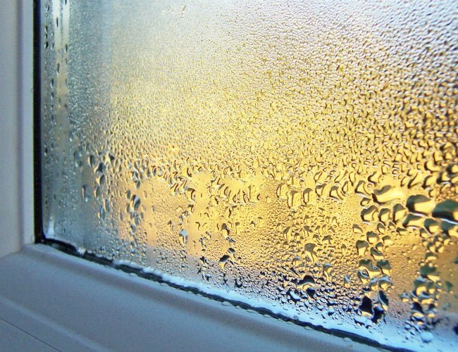 Solved! What to Do About Condensation on Windows